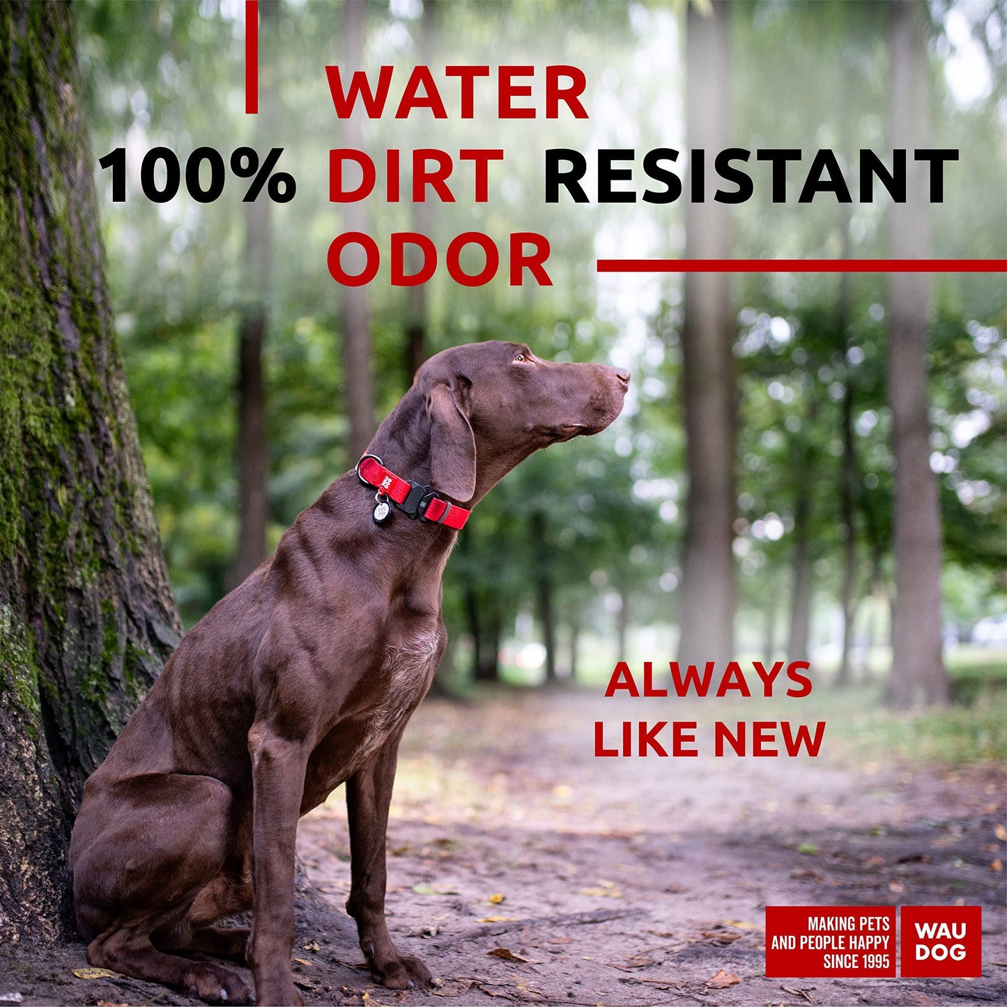 Introducing the Stylish Red Waterproof Dog Collar - Perfect Fit for Dogs 12" to 19" with Durable Metal Buckle