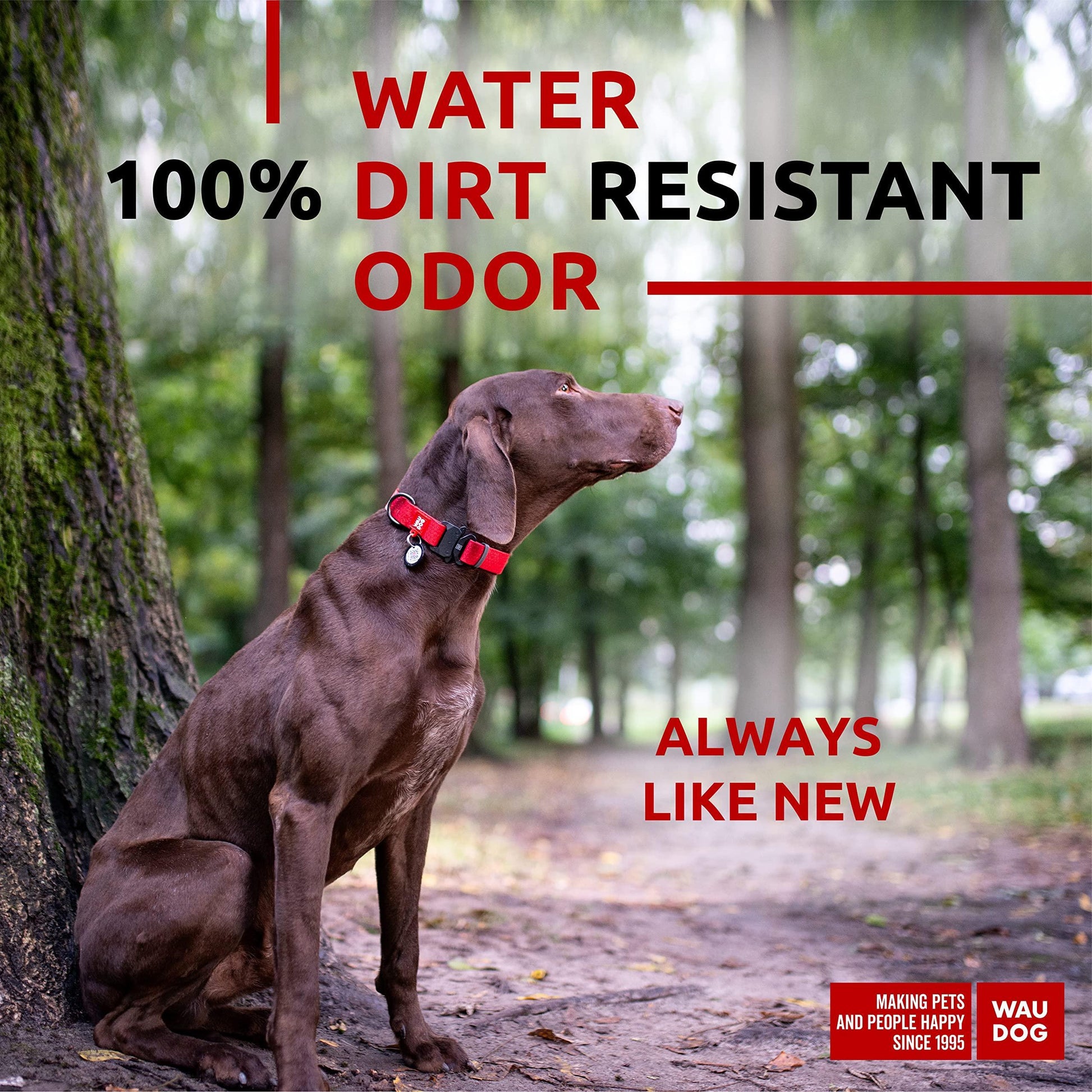 Introducing the Stylish Red Waterproof Dog Collar - Perfect Fit for Dogs 12" to 19" with Durable Metal Buckle