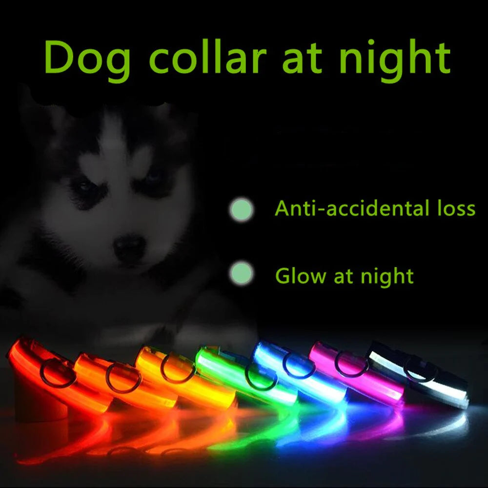 Illuminate Your Pup's Adventures: LED Adjustable Dog Collar for Maximum Safety and Style - Waterproof & Glowing!