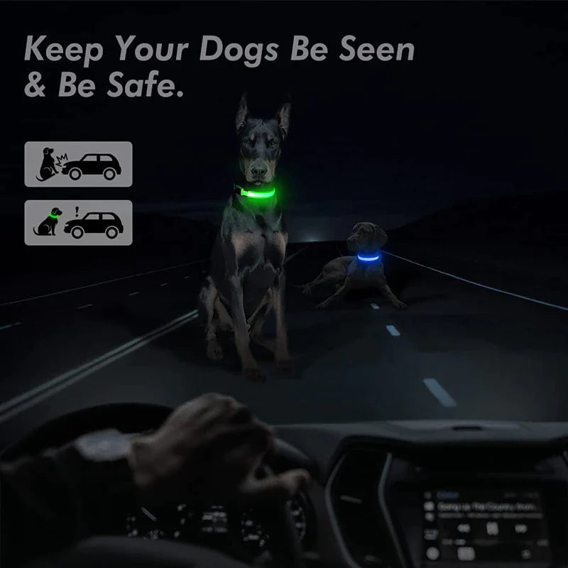 Illuminate Your Pup's Adventures: LED Adjustable Dog Collar for Maximum Safety and Style - Waterproof & Glowing!