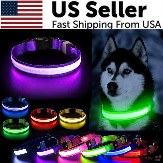 Illuminate Your Pup's Adventures: LED Adjustable Dog Collar for Maximum Safety and Style - Waterproof & Glowing!