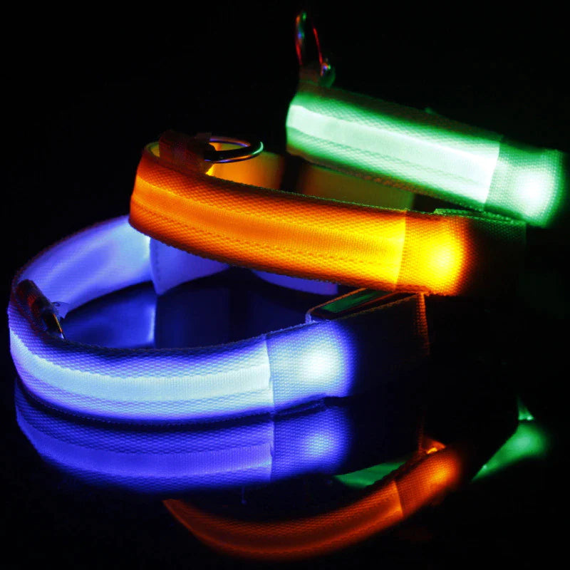Illuminate Your Pup's Adventures: LED Adjustable Dog Collar for Maximum Safety and Style - Waterproof & Glowing!