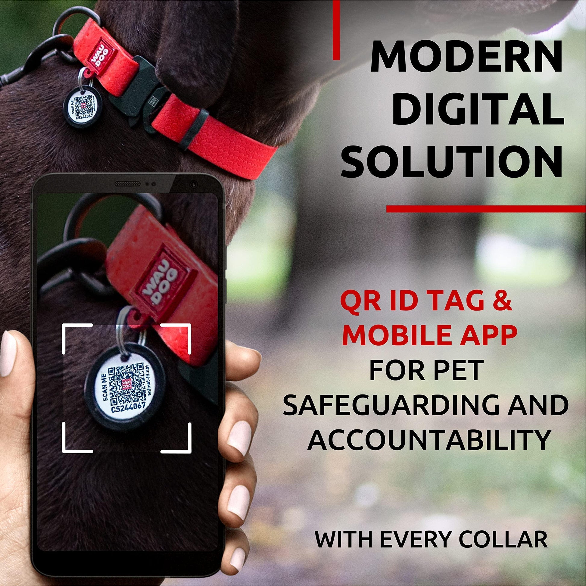 Introducing the Stylish Red Waterproof Dog Collar - Perfect Fit for Dogs 12" to 19" with Durable Metal Buckle