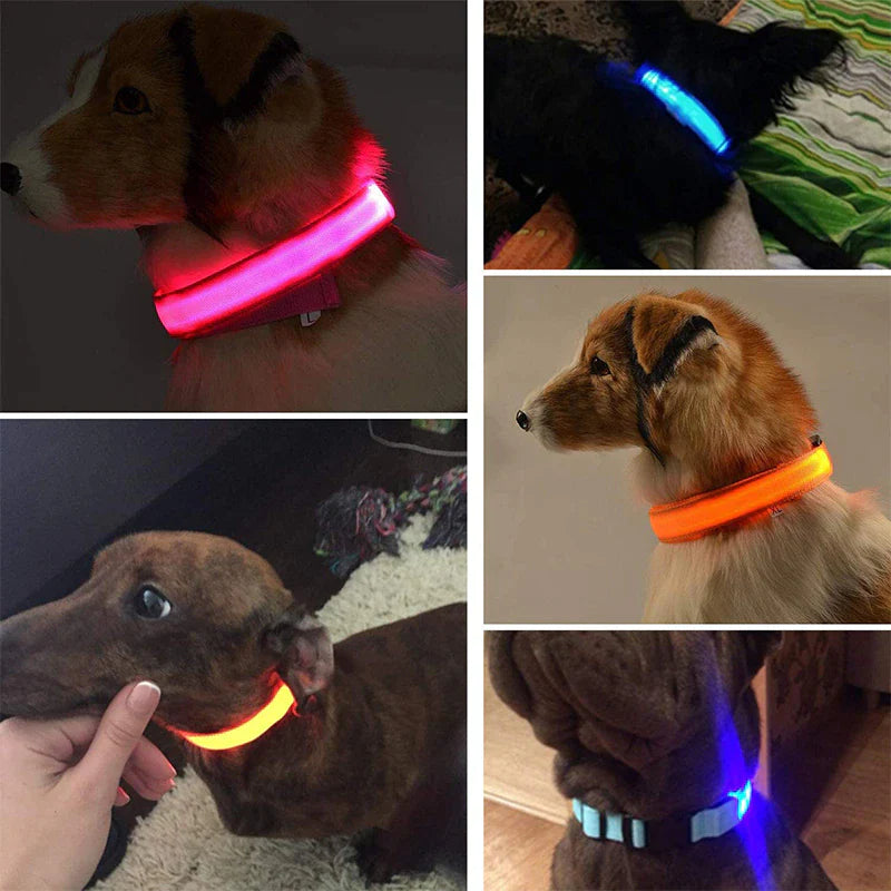 Illuminate Your Pup's Adventures: LED Adjustable Dog Collar for Maximum Safety and Style - Waterproof & Glowing!