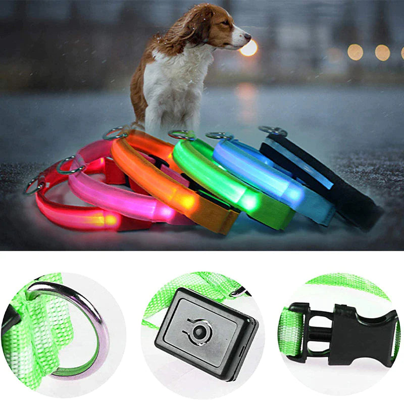 Illuminate Your Pup's Adventures: LED Adjustable Dog Collar for Maximum Safety and Style - Waterproof & Glowing!