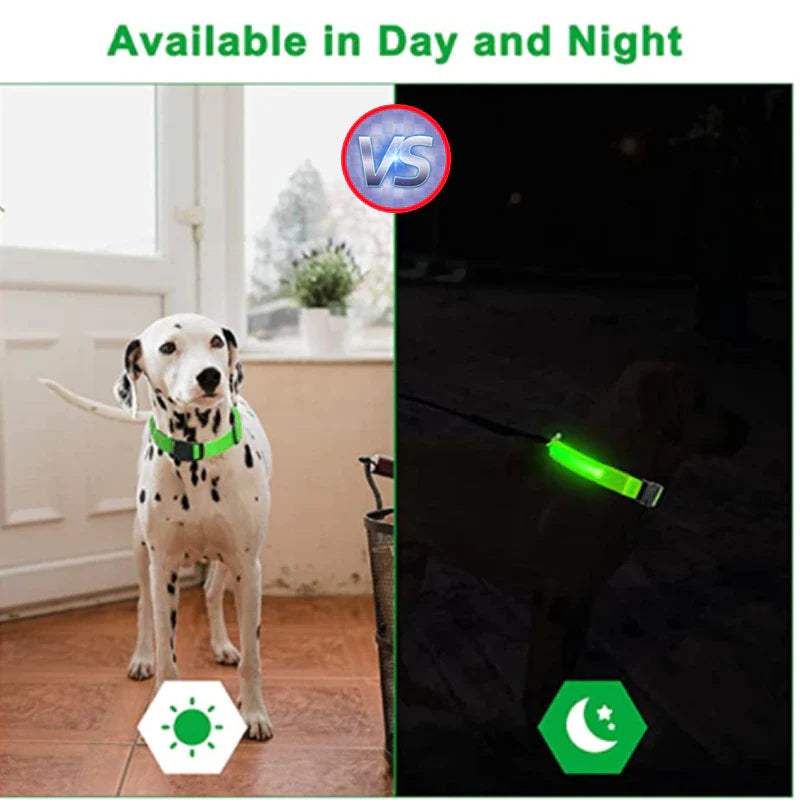 Illuminate Your Pup's Adventures: LED Adjustable Dog Collar for Maximum Safety and Style - Waterproof & Glowing!