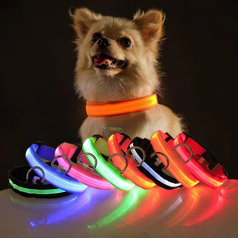 Illuminate Your Pup's Adventures: LED Adjustable Dog Collar for Maximum Safety and Style - Waterproof & Glowing!